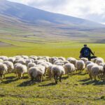 ببینید | روایت جالب چوپانی که دانشمند برتر رشته شیمی در جهان شد!