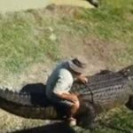 ببینید | گاز گرفتن مرد آمریکایی توسط تمساح غول‌پیکر حین سواری گرفتن!