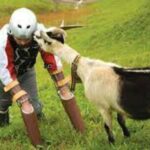 ببینید | حرکت جنون‌آمیز مرد جوان؛ سر شاخ شدن با بز!