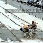 ببینید | کمک باورنکردنی یک سگ به زن ویلچرنشین در جلوگیری از تصادف با قطار