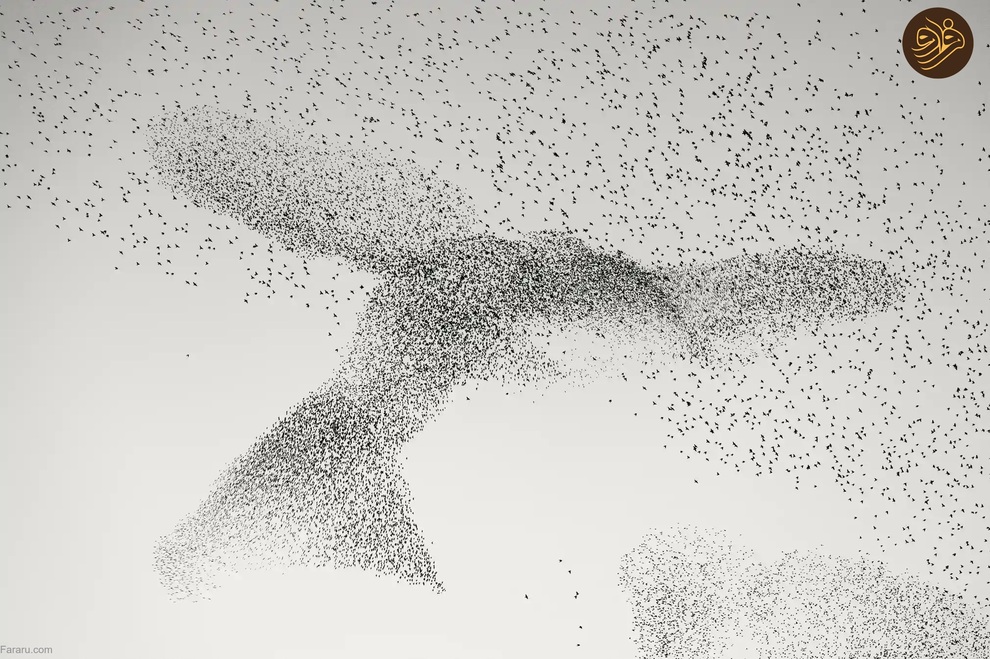 (تصاویر) از لیس زدن توله شیر تا لاک‌پشت خیلی خوشحال