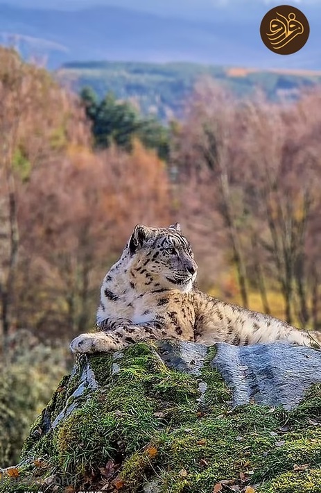 عکس‌های خنده‌دار حیوانات در باغ وحش‌ها