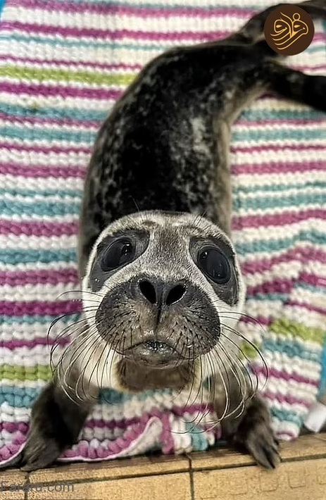 عکس‌های خنده‌دار حیوانات در باغ وحش‌ها