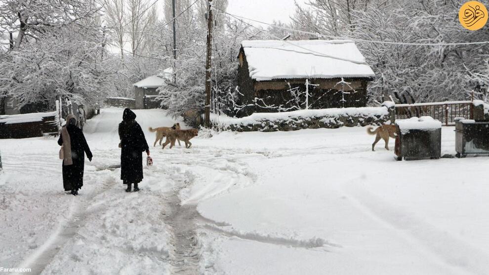 (تصاویر) بارش سنگین برف و تعطیلی مدارس در ترکیه