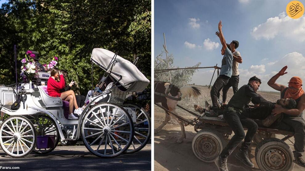 (تصاویر) دو چهره از جهان؛ از شادی لیونل مسی با جام تا تشییع خبرنگار فلسطینی