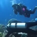 ویدیو / لحظه زلزله شدید ۷.۲ ریشتری در زیر دریا