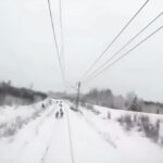 لحظات هولناک زیر گرفتن حیوانات توسط قطار (فیلم)