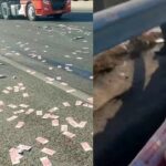 تصادف شدید یک خودرو بزرگراه را مملو از اسکناس کرد (فیلم)