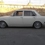 پیکان سواری یک گاو در خیابان (فیلم)