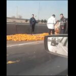 چپ شدن نیسان با بار پرتقال در اتوبان آزادگان شرق به غرب (فیلم)