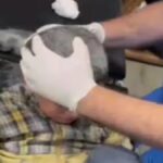 کودکان ؛ هدف اصلی حملات صهیونیست‌ها (فیلم)