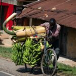 (تصاویر) سفر به فرهنگ رنگارنگ اوگاندا