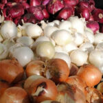 ببینید | استفاده متفاوت از موتورسیکلت برای بالا بردن پیاز روی کوه!