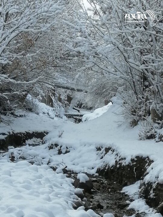 تصاویر | عکسهای تماشایی از بارش برف در روستاهای اطراف شهرستان فیروزکوه بارش برف در روستاهای اطراف شهرستان فیروزکوه