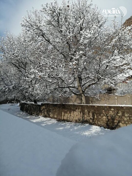 تصاویر | عکسهای تماشایی از بارش برف در روستاهای اطراف شهرستان فیروزکوه بارش برف در روستاهای اطراف شهرستان فیروزکوه