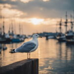 ببینید | تفاوت دقت و سرعتِ یک کلاغ با مرغ دریایی