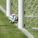 ببینید | زمین چمن بوندسلیگا آلمان باعث گل به خودی شد!