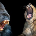 (تصاویر) آرواره‌های باز ترسناک‌ترین شکارچیان را ببینید