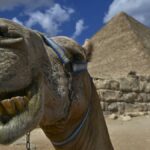 (تصاویر) اهرام جیزه، مکانی جذاب برای گردشگران