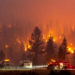 ببینید | گسترش آتش‌سوزی‌های جنگلی در شیلی؛ اعلام وضعیت اضطراری و تایید ۱۰ فوتی تاکنون‌