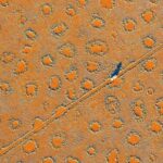 ببینید | تکنیک جالب برای احیای بیابان در تانزانیا با مشارکت بومیان