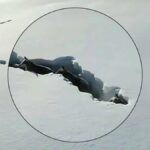 ببینید | تصاویر جالب از حرکت گله‌ای از گرگ‌ها درون توده‌های برف