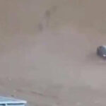 ببینید | خاموش کردن ماشین آتش گرفته در دل کویر