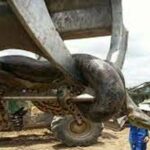 ببینید | یافتن افعی ۱۰ متری در برزیل