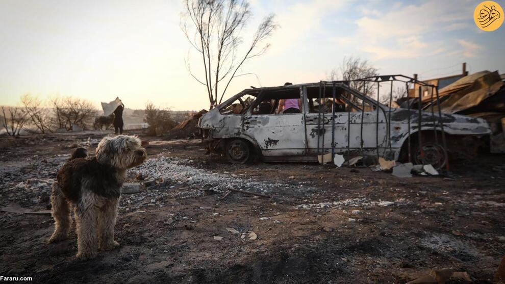 (تصاویر) آتش‌سوزی‌های مرگبار در شیلی