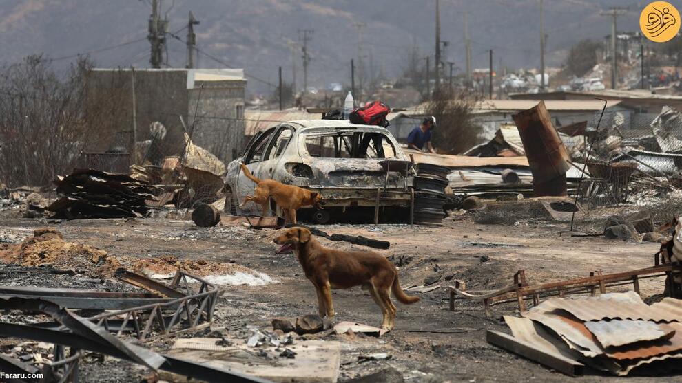 (تصاویر) آتش‌سوزی‌های مرگبار در شیلی