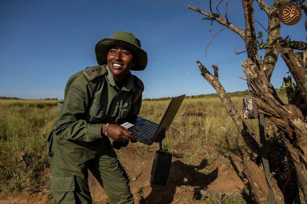 (تصاویر) بازگشت کرگدن سیاه به منطقه‌ای که ۵۰ سال پیش منقرض شد