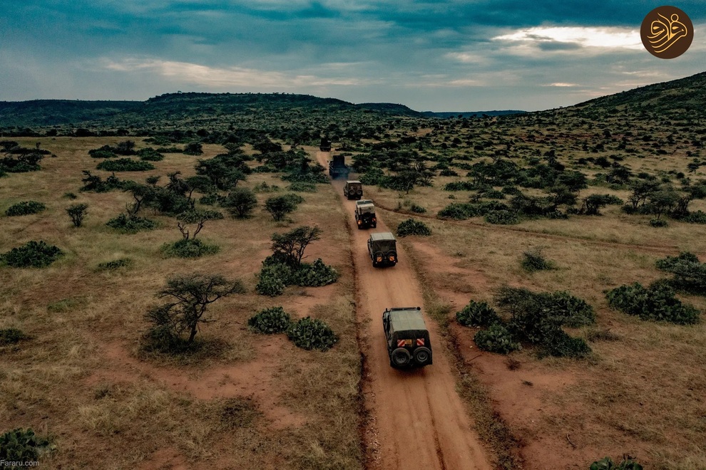 (تصاویر) بازگشت کرگدن سیاه به منطقه‌ای که ۵۰ سال پیش منقرض شد