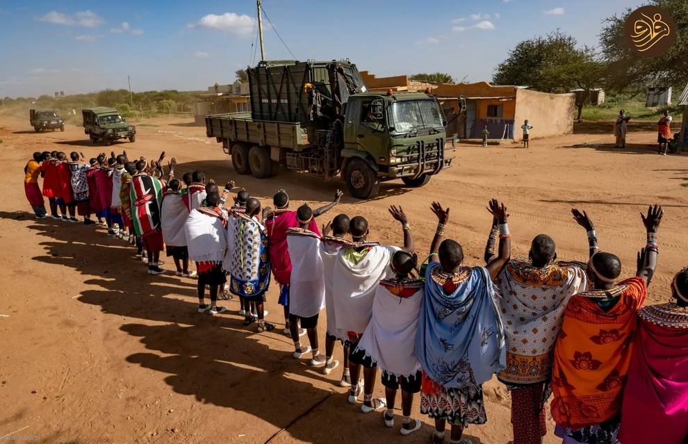 (تصاویر) بازگشت کرگدن سیاه به منطقه‌ای که ۵۰ سال پیش منقرض شد