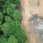 تماشا کنید: درخت کُشی/ در جنگل‌های هیرکانی چه خبر است؟