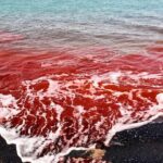 ویدیو / برخورد باران با خاک سرخِ جزیره هرمز