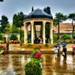 ببینید | آوازخوانی پر احساس یک مرد شیراز در حافظه شیراز با همراهی تمام قد مردم؛ شمع و پروانه منم…