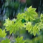 ببینید | جملات ترسناک یک کارشناس هواشناسی روی آنتن زنده: وضعیت وخیم است!