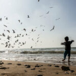 ببینید | نجات جان یک پرنده زخمی از آب؛ وقتی کلاغ با سگ همبازی می‌شود