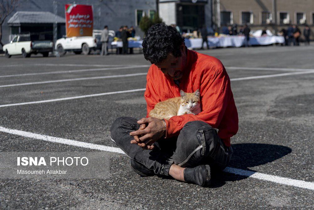 عکس | تصویری دور از انتظار از یک سارق؛ پناه آوردن گربه به آغوش مجرم!