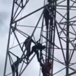 ببینید | لحظه تکان‌دهنده سقوط امدادگران از بالای دکل برق هنگام تلاش برای نجات یک مرد حین خودکشی!