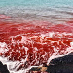 ببینید | تصویری جادویی از برخورد باران با خاک سرخِ جزیره هرمز