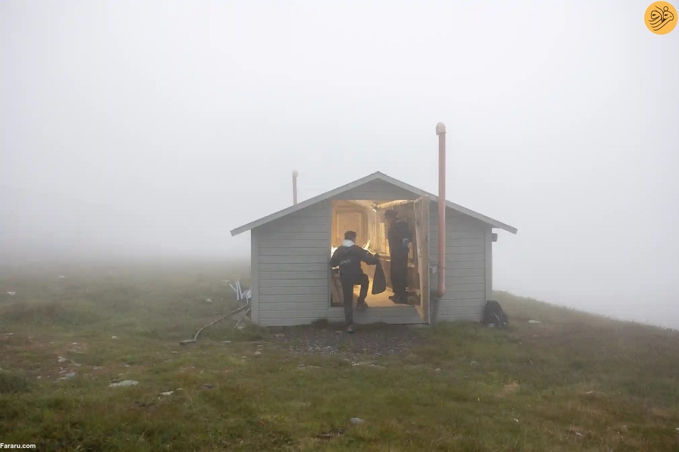 (تصاویر) نجات روباه‌های قطبی از انقراض در دورافتاده‌ترین نقطه جهان