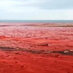 ببینید / منظره کم نظیر بارش باران در ساحل سرخ جزیره هرمز