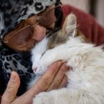 (تصاویر) این زن زندگی خود را وقف گربه‌ها کرد