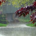 عکس | تبدیل شدن تونل صدر به دریاچه پس از بارش باران!