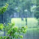 ببینید | تصاویری از باران شدید در زاهدان همراه با رعد و برق