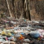 ببینید | تصاویری از تلخ‌ترین اتفاق در جنگل‌های ایران؛ زباله‌ها بلای جای حیوانات