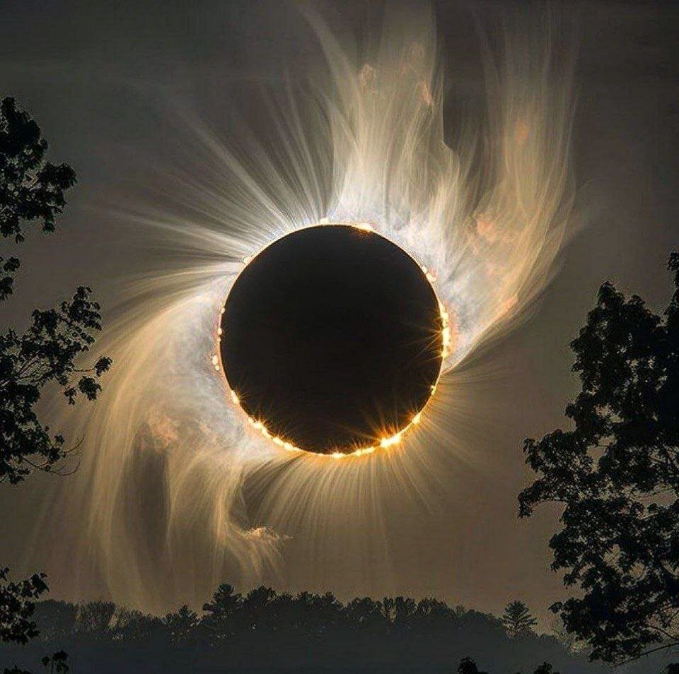 عکس | عجیبترین تصویر از خورشیدگرفتگی امسال؛ یک قاب خیرهکننده عکس | عجیبترین تصویر از خورشیدگرفتگی امسال؛ یک قاب خیرهکننده