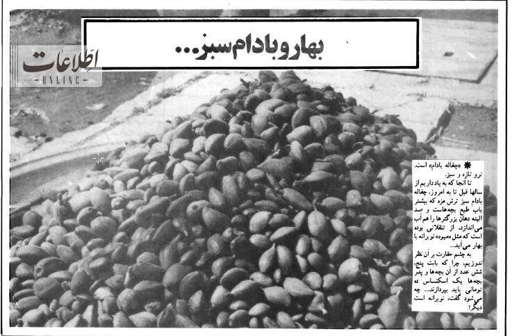 عکس |  قیمت «چغاله بادام» ترمز برید!