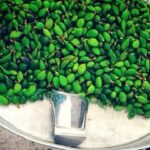 عکس |  قیمت «چغاله بادام» ترمز برید!